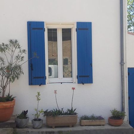 Saint-Nazaire-d'Aude Maison Occitane מראה חיצוני תמונה