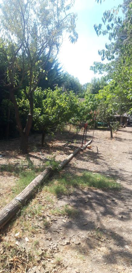 Saint-Nazaire-d'Aude Maison Occitane מראה חיצוני תמונה